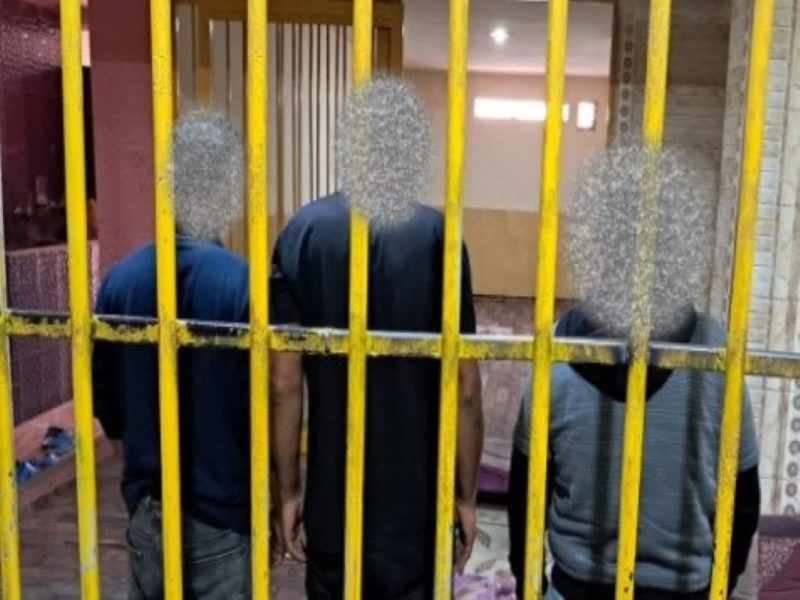 دستگیری اعضای باند سارقان احشام در لامرد