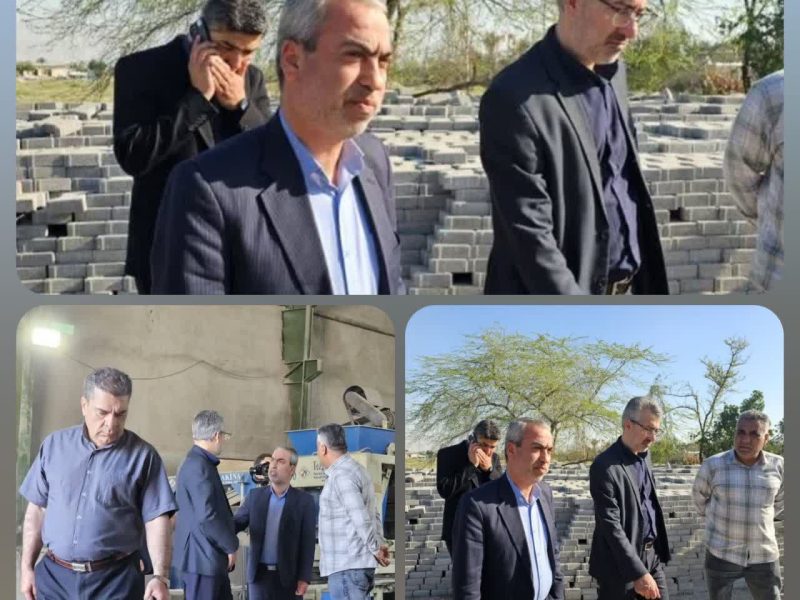 بازدید میدانی مدیرکل دفتر امور شهری و شوراهای استانداری فارس از پروژه های عمرانی شهر لامرد